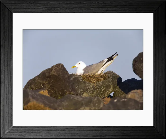 Framed Print : 180522d0083 Framed Print : 180522d0083