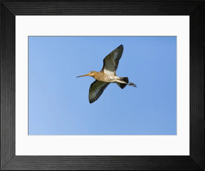 Framed Print : 180522w0154 Framed Print : 180522w0154