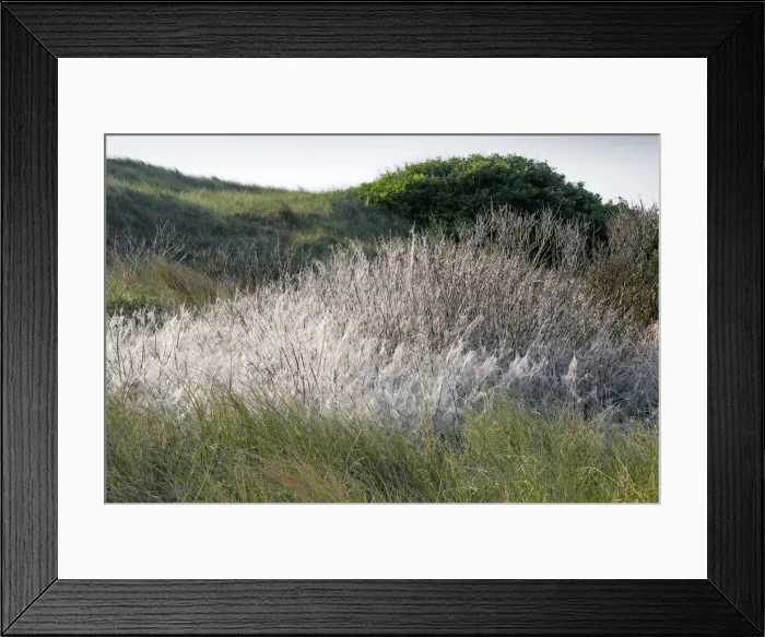 Framed Print : 180523w0182 Framed Print : 180523w0182