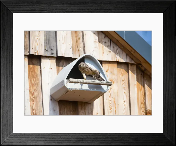 Framed Print : 180714d0029 Framed Print : 180714d0029
