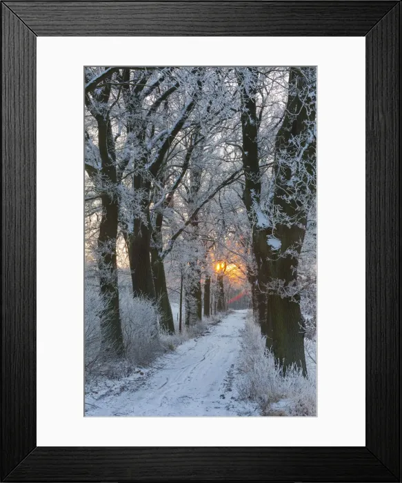 Framed Print : 20160122_093722_0030 Framed Print : 20160122_093722_0030