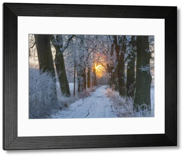 Framed Print : 20160122_093957_0031 Framed Print : 20160122_093957_0031