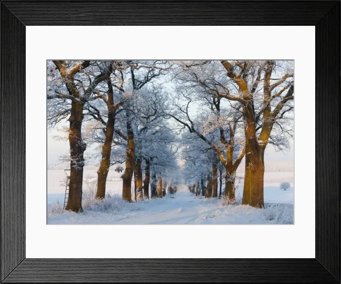 Framed Print : 20160122_095414_0033 Framed Print : 20160122_095414_0033