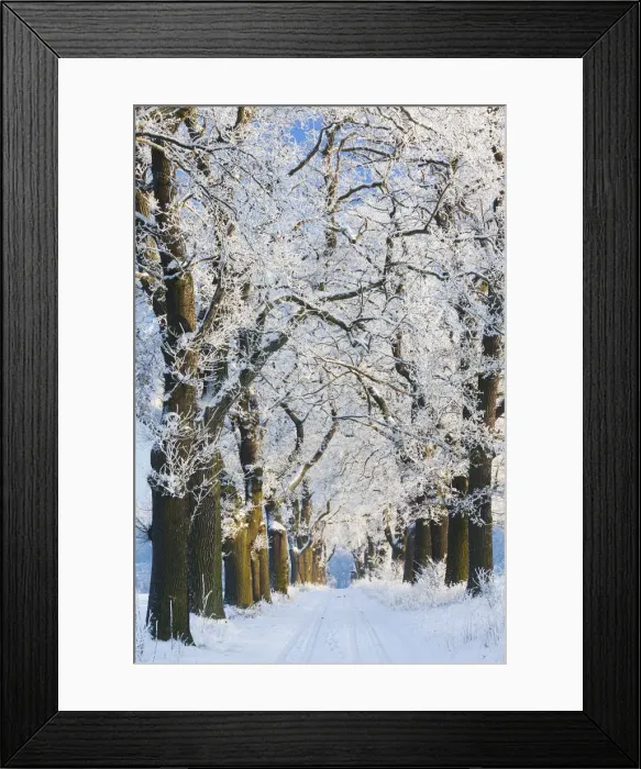 Framed Print : 20160122_100703_0036