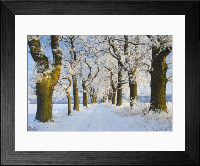Framed Print : 20160122_101516_0039 Framed Print : 20160122_101516_0039