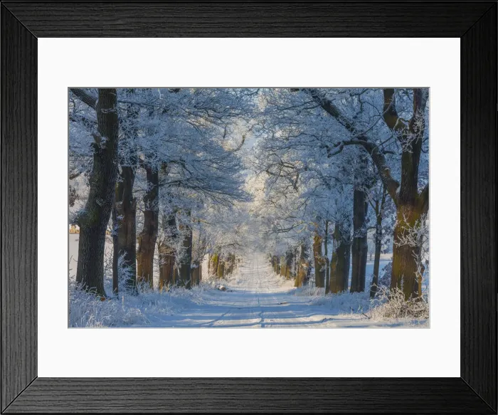 Framed Print : 20160122_103817_0047 Framed Print : 20160122_103817_0047