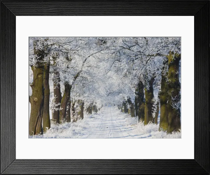 Framed Print : 20160122_111346_0052
