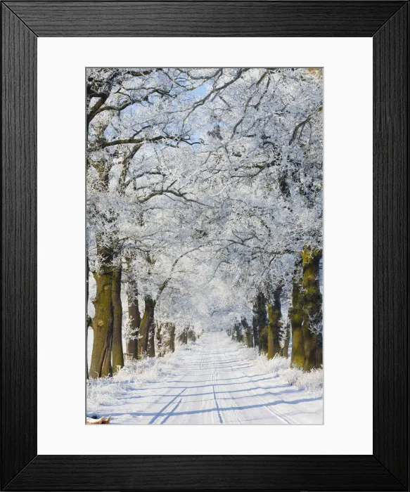 Framed Print : 20160122_111432_0053 Framed Print : 20160122_111432_0053