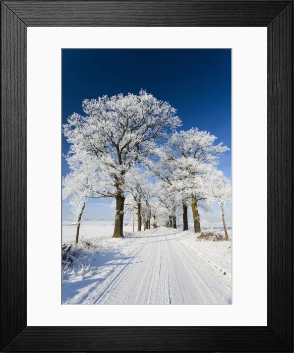 Framed Print : 20160122_114224_0055 Framed Print : 20160122_114224_0055