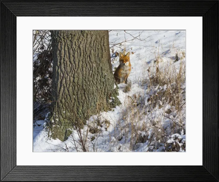 Framed Print : 20160122_135519_0153 Framed Print : 20160122_135519_0153