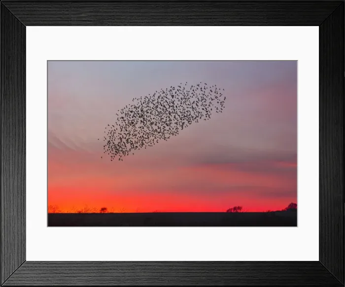 Framed Print : 20160314_194827_0180 Framed Print : 20160314_194827_0180