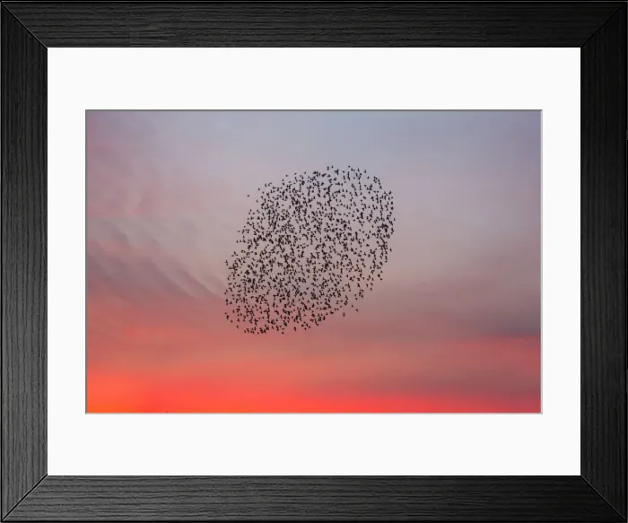 Framed Print : 20160314_194834_0183 Framed Print : 20160314_194834_0183