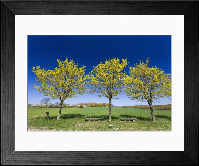 Framed Print : 20160421_124423_0126 Framed Print : 20160421_124423_0126