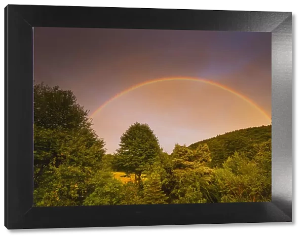 Rainbow, appearing in double form over woodland, , Lower Saxony, Germany