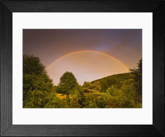 Framed Print : Rainbow, appearing in double form over woodland, , Lower Saxony, Germany Framed Print : Rainbow, appearing in double form over woodland, , Lower Saxony, Germany