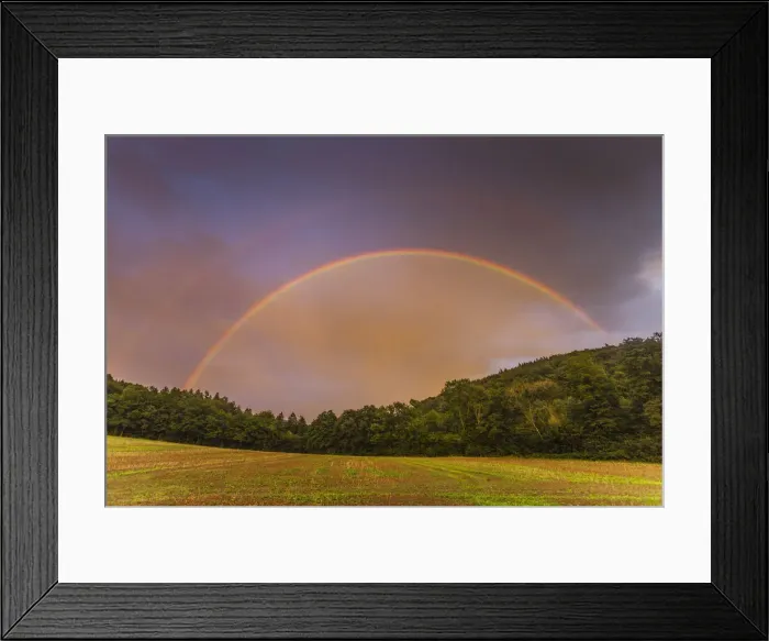 Framed Print : Rainbow, appearing in double form over woodland, Lower Saxony, Germany Framed Print : Rainbow, appearing in double form over woodland, Lower Saxony, Germany