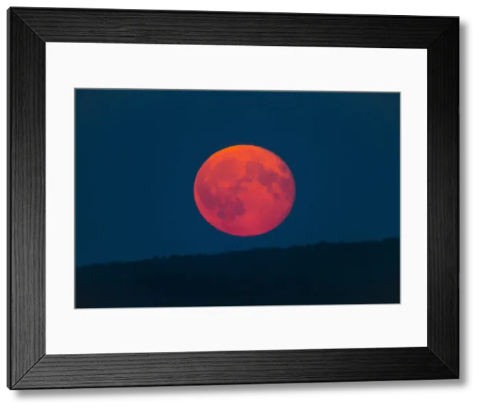 Framed Print : Full Moon - rising above horizon, coloured orange and red, Lower Saxony, Germany Framed Print : Full Moon - rising above horizon, coloured orange and red, Lower Saxony, Germany