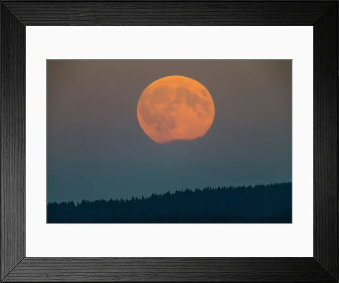 Framed Print : Full Moon - rising above forest, Lower Saxony, Germany Framed Print : Full Moon - rising above forest, Lower Saxony, Germany