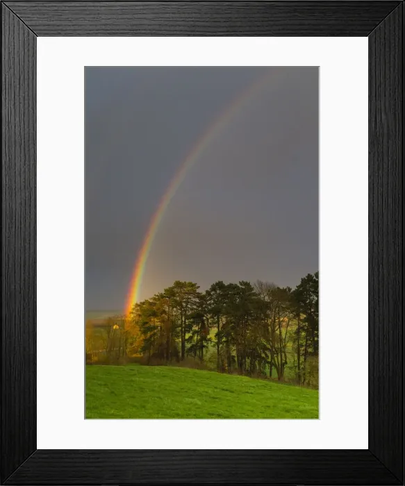 Framed Print : Rainbow, appearing over woodland, Lower Saxony, Germany Framed Print : Rainbow, appearing over woodland, Lower Saxony, Germany