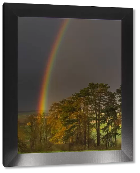 Rainbow, appearing over woodland, Lower Saxony, Germany