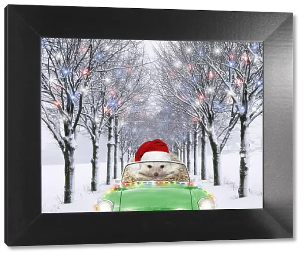 AL-2045. Hedgehog in sports car driving down tree-lined avenue with Christmas lights Date