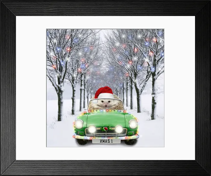 Framed Print : AL-2045. Hedgehog in sports car driving down tree-lined avenue with Christmas lights Date Framed Print : AL-2045. Hedgehog in sports car driving down tree-lined avenue with Christmas lights Date