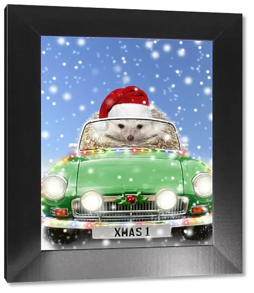 Hedgehog in sports car driving through Christmas snow