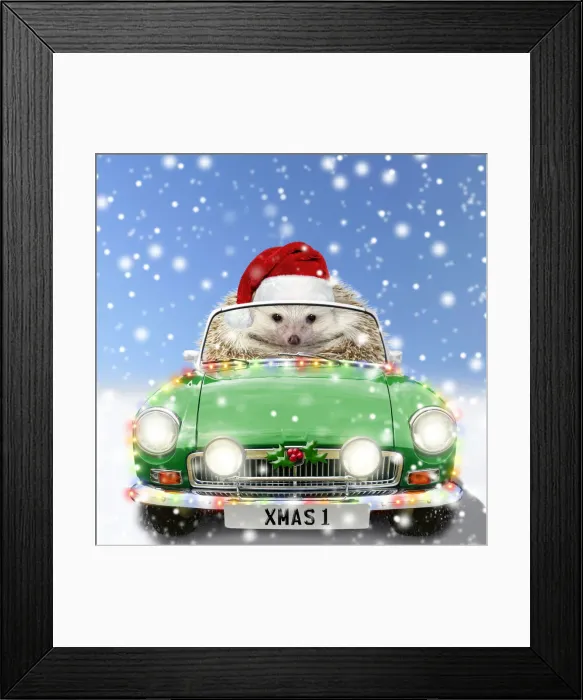 Framed Print : Hedgehog in sports car driving through Christmas snow