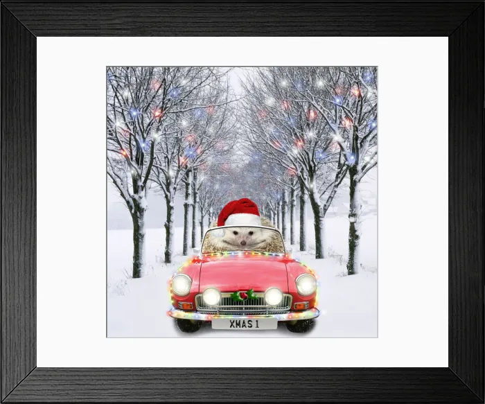 Framed Print : AL-2045. Hedgehog in sports car driving down tree-lined avenue with Christmas lights Date Framed Print : AL-2045. Hedgehog in sports car driving down tree-lined avenue with Christmas lights Date