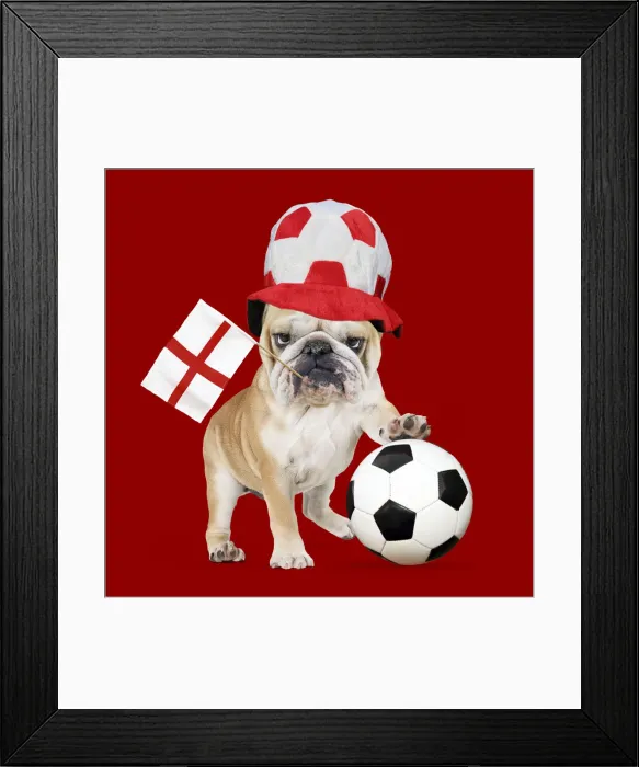 Framed Print : A-024-M. Bulldog - with football and England flag Date Framed Print : A-024-M. Bulldog - with football and England flag Date