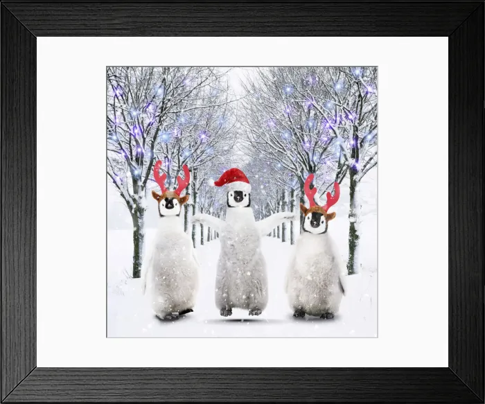 Framed Print : AL-2045. Three penguin chicks walking through an avenue of trees in the Framed Print : AL-2045. Three penguin chicks walking through an avenue of trees in the