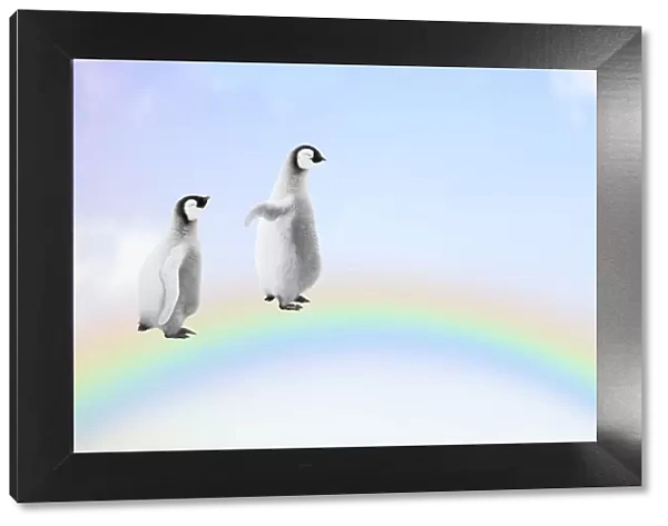 Two Penguin chicks walking, over, a rainbow