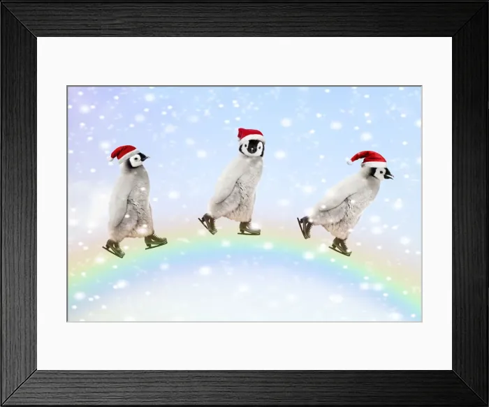 Framed Print : Emperor Penguins, three chicks ice skating over a rainbow Framed Print : Emperor Penguins, three chicks ice skating over a rainbow