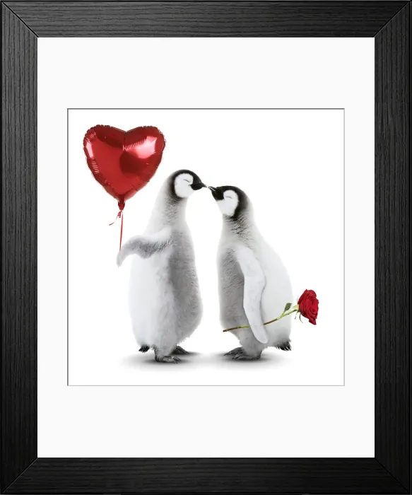 Framed Print : Emperor Penguin, two chicks kissing holding heart shaped helium balloon and arose Framed Print : Emperor Penguin, two chicks kissing holding heart shaped helium balloon and arose