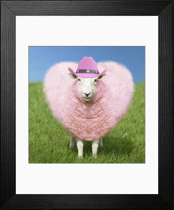 Framed Print : FEU-158-M. Sheep - Ewe - pink heart shaped wool wearing cowboy hat Date Framed Print : FEU-158-M. Sheep - Ewe - pink heart shaped wool wearing cowboy hat Date
