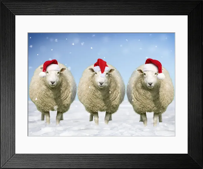 Framed Print : FEU-158-M1 Framed Print : FEU-158-M1