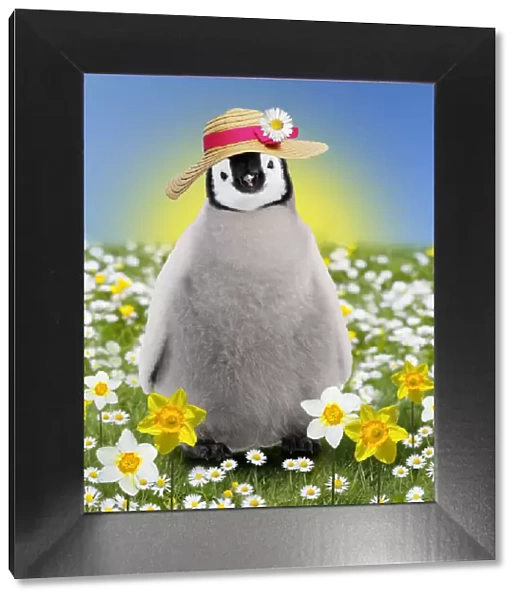 Penguin chick ~ in spring flowers ~ daisies and daffodils ~ wearing easter bonnet