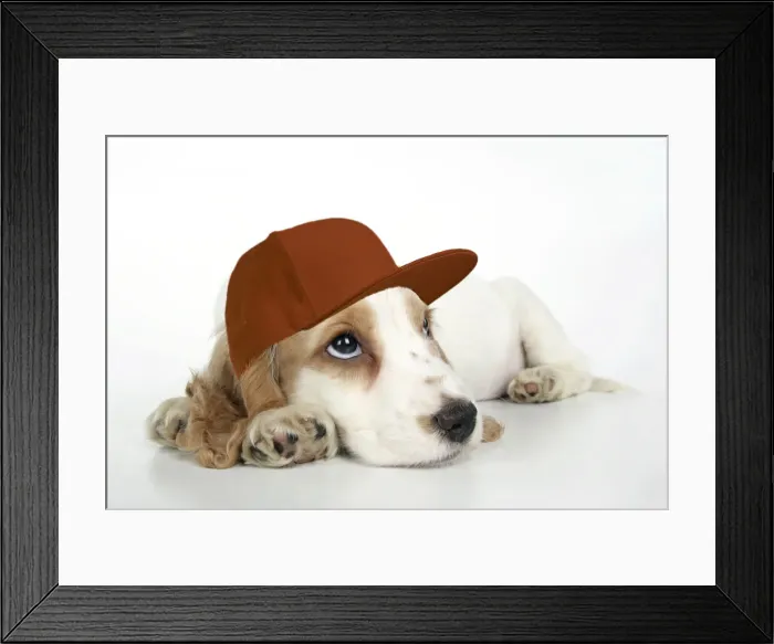 Framed Print : JD-19586-M Framed Print : JD-19586-M