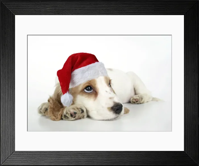 Framed Print : JD-19586-M Framed Print : JD-19586-M
