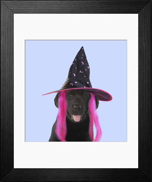 Framed Print : DOG. Black labarador puppy wearing witch hat for Halloween Framed Print : DOG. Black labarador puppy wearing witch hat for Halloween