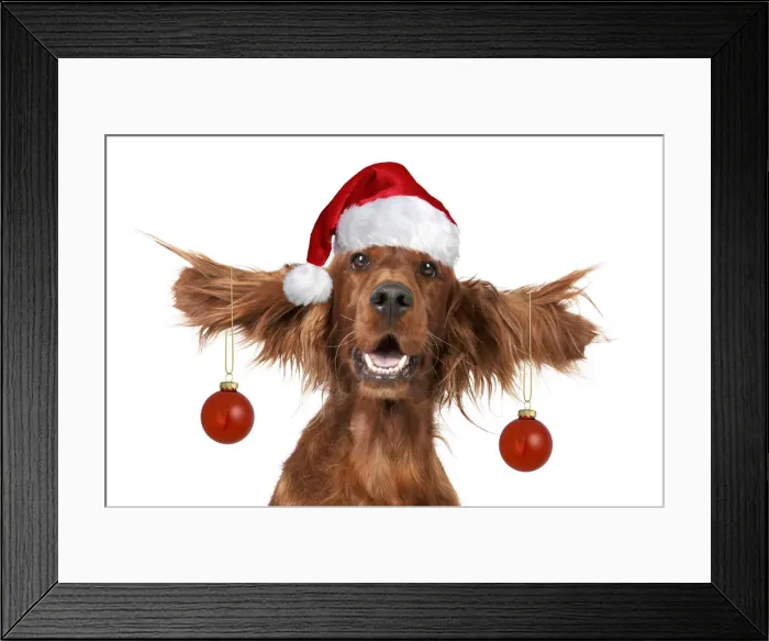 Framed Print : JD-24426-M Framed Print : JD-24426-M