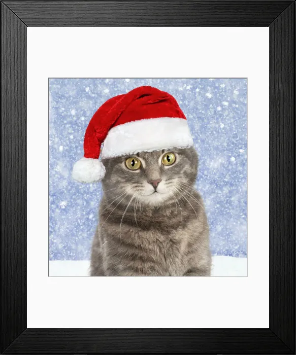 Framed Print : JD-24573-M