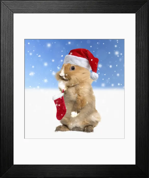 Framed Print : A20, 646. Rabbit wearing Christmas hat in winter snow scene Date Framed Print : A20, 646. Rabbit wearing Christmas hat in winter snow scene Date