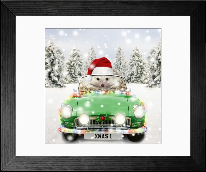 Framed Print : Hedgehog driving a sports car through Christmas winter scene Framed Print : Hedgehog driving a sports car through Christmas winter scene
