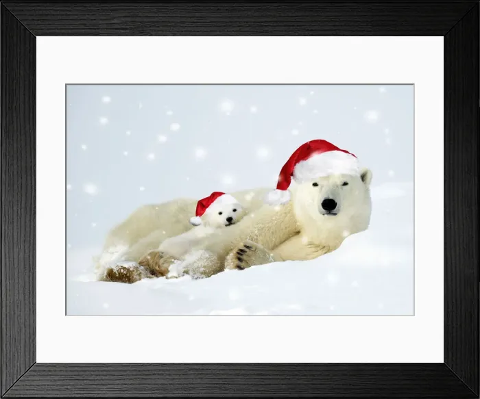 Framed Print : Polar bear and her cubs wearing red Christmas Santa hats in the snow Framed Print : Polar bear and her cubs wearing red Christmas Santa hats in the snow