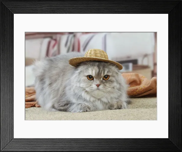Framed Print : HIGHLANDER Framed Print : HIGHLANDER
