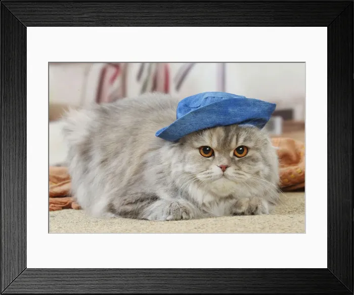 Framed Print : HIGHLANDER Framed Print : HIGHLANDER