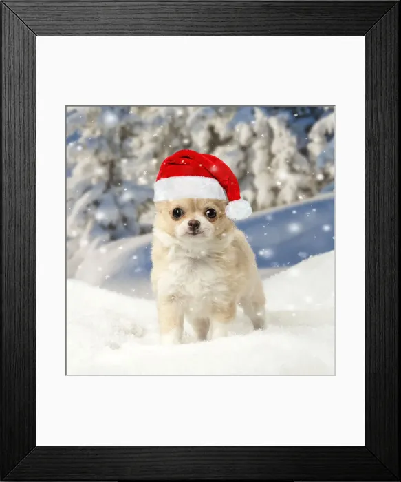 Framed Print : LABRO_076897