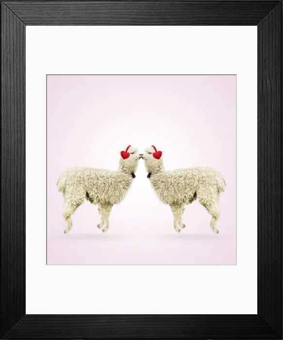 Framed Print : Two Alpacas wearing heart shaped ear-muffs Framed Print : Two Alpacas wearing heart shaped ear-muffs