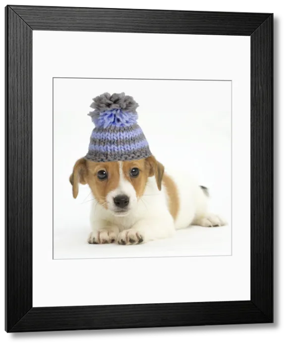 Framed Print : LABRO_073364 Framed Print : LABRO_073364